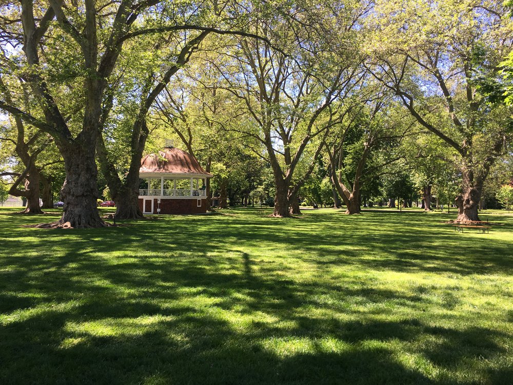 trees Blue Mountain Audubon Society