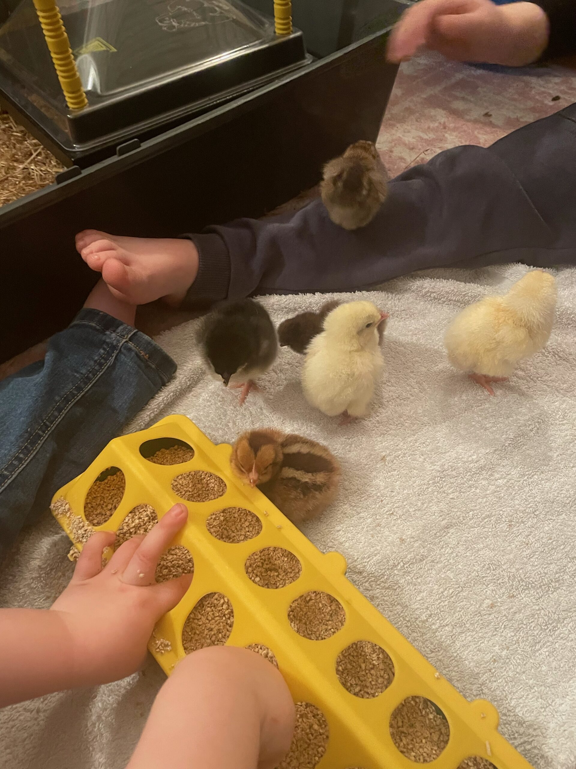 Gallery Blundellsands Kindergarten