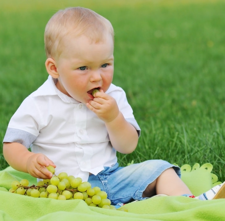 3 Facts that say how crucial to cut grapes in half