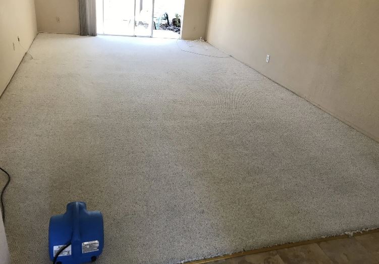 All In Carpet Cleaning North County Home Services