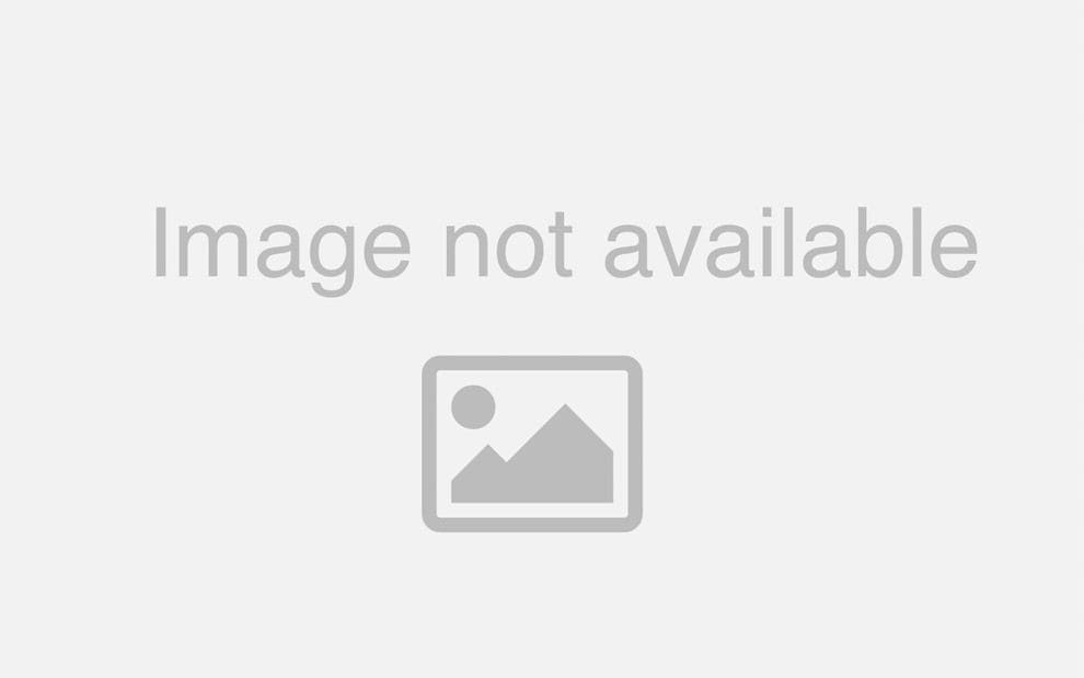 Tumbleweed Terror Invasion of the Giant Tumbleweeds 1989 by Peggy