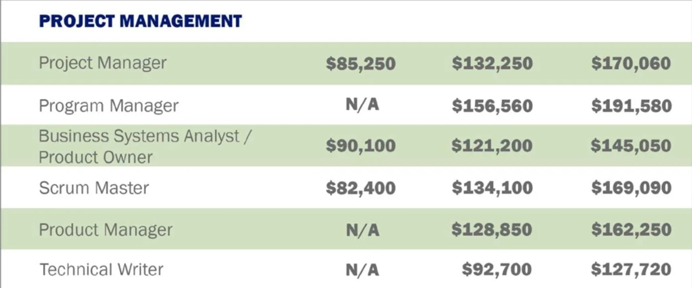 Defining The IT Program Manager Role Benchmark IT