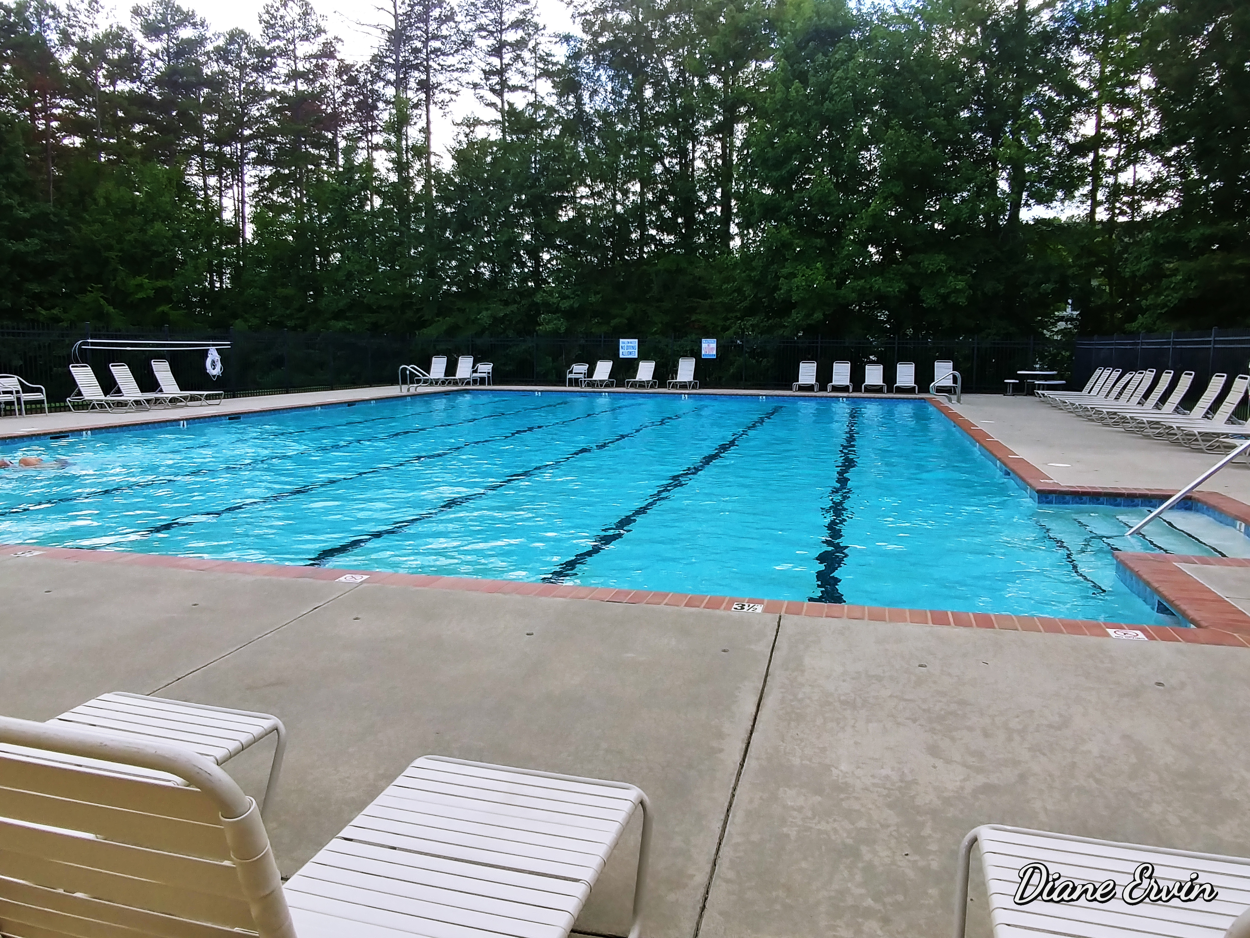 Community Pool Chestnut Oaks Community Association, Inc. CO