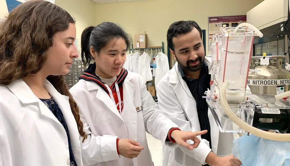 Academics Florida International University Department of Biomedical