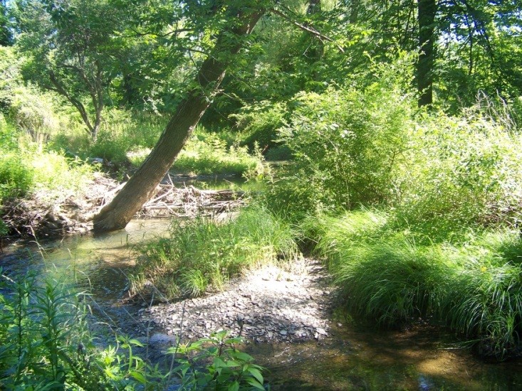 Bristol Mountain Wetlands BME Associates