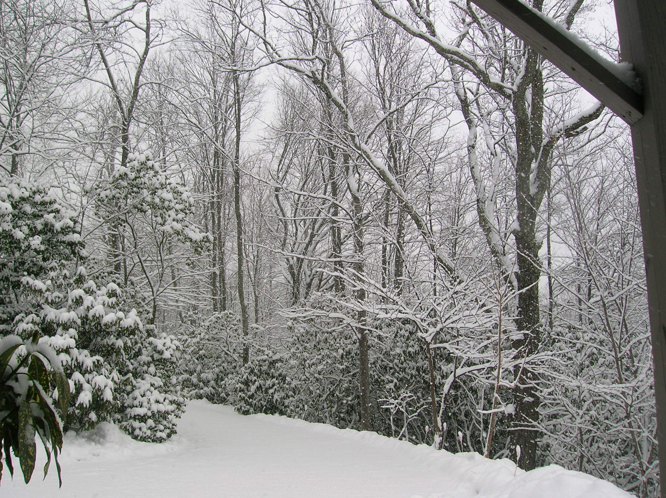 Butler Mountain Estates