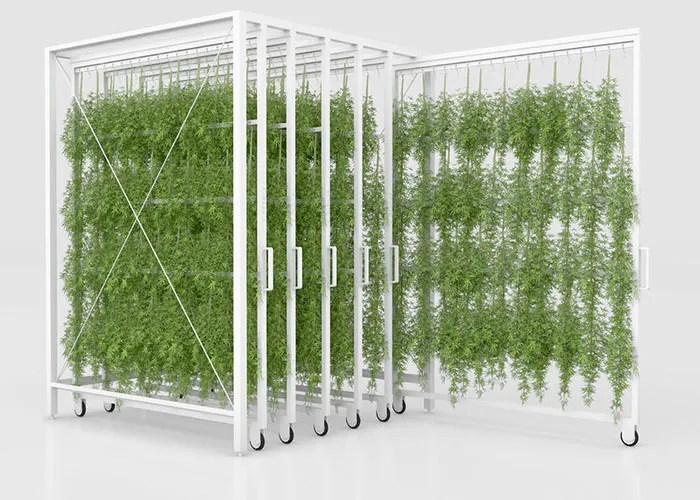 Indoor Vertical Farming Grow Rack Systems BMH Equipment