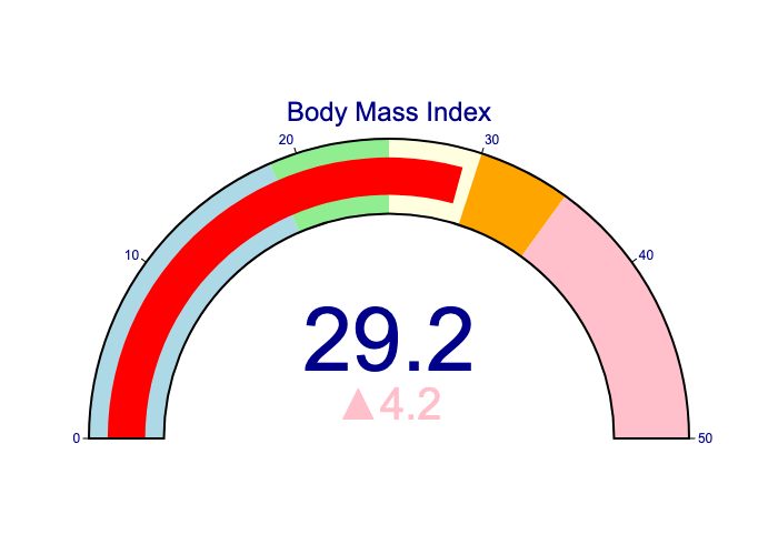 bmigraph — bmigraph documentation