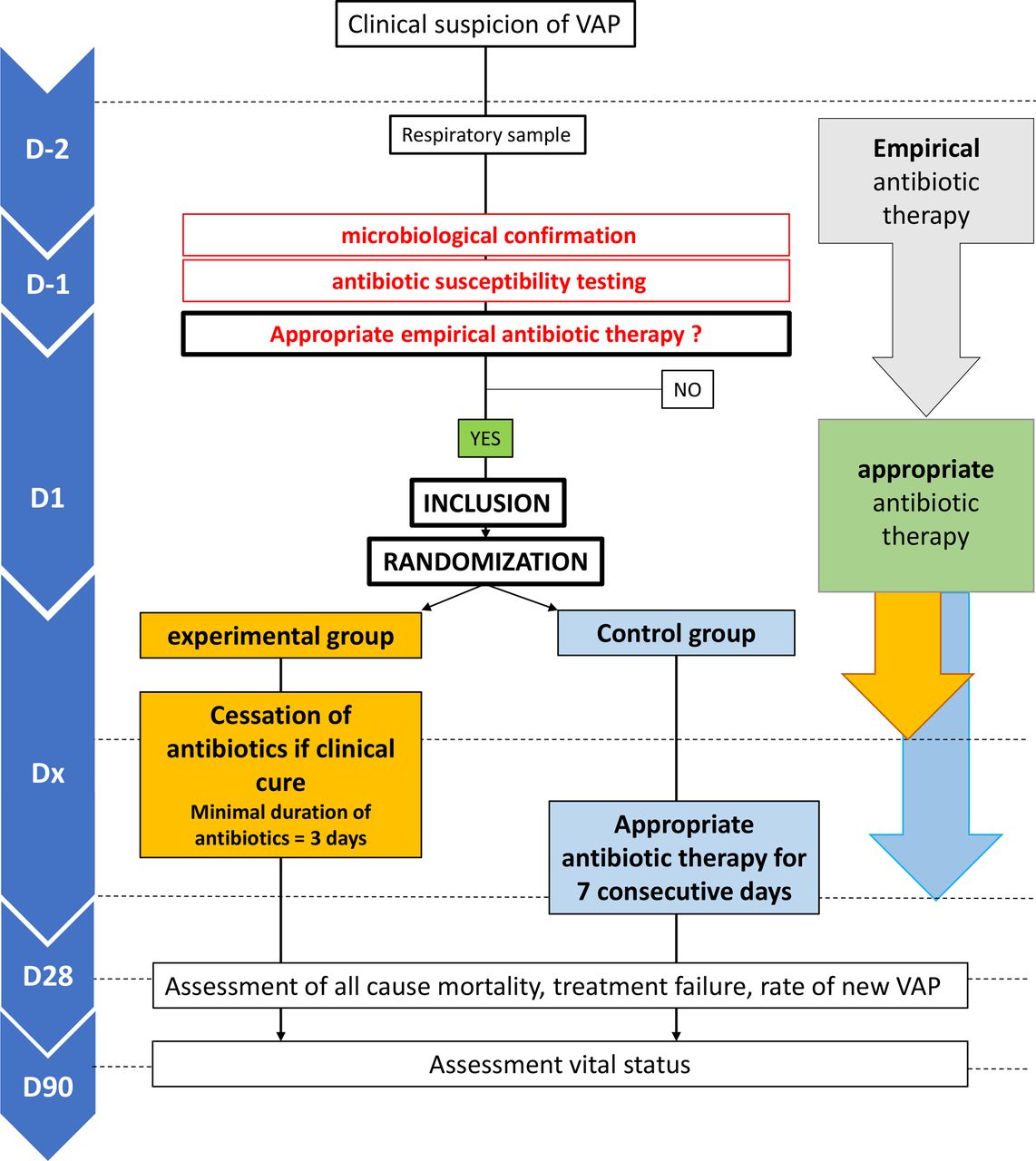 Ventilator Associated Pneumonia Pathophysiology