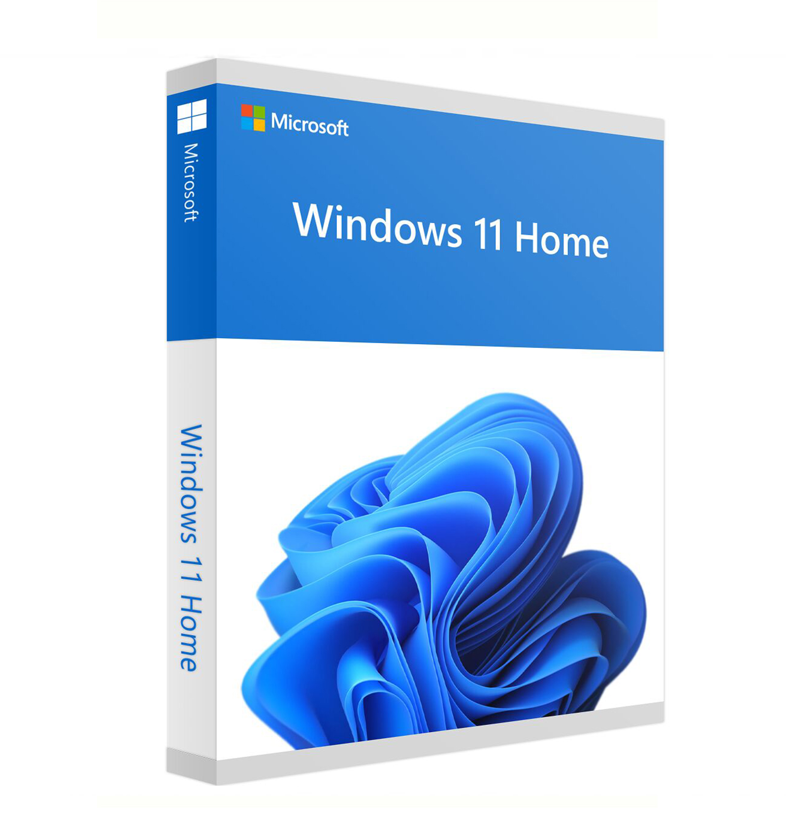 Microsoft Windows 11 Professional Digital Retail Key