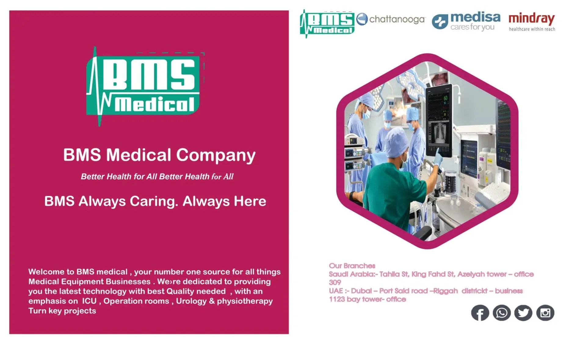 Company Profile BMS Medical