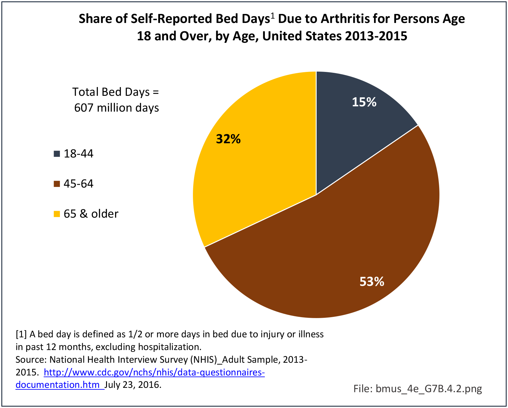 Arthritis Aging Population BMUS The Burden of Musculoskeletal