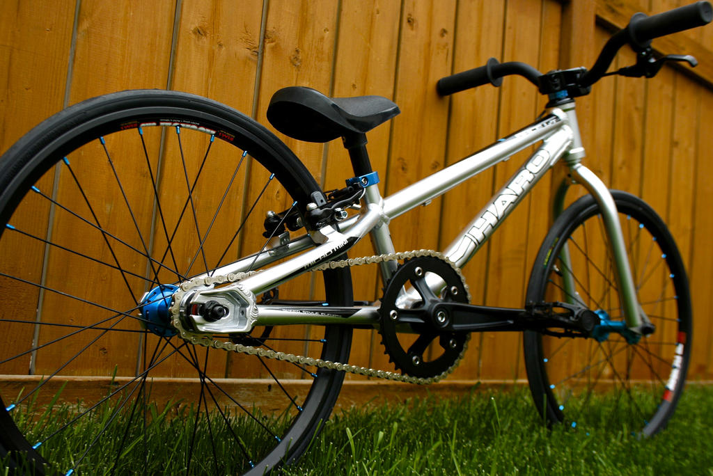 2013 Haro Micro Mini