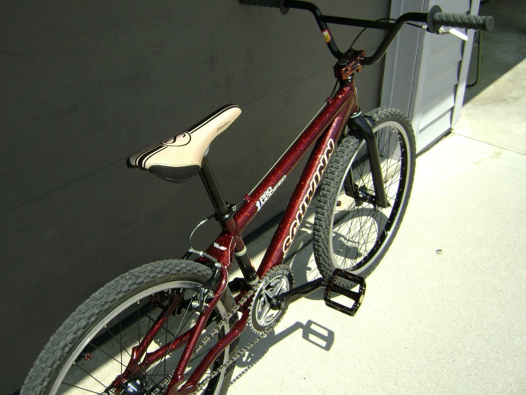 1998 Schwinn Pro Modified 1 24