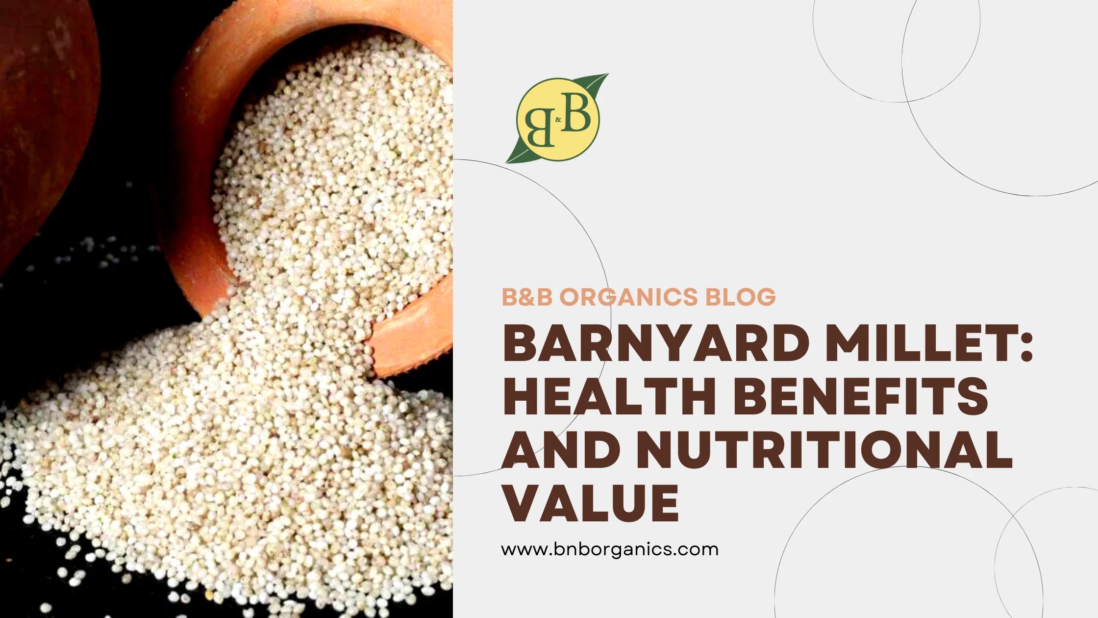 Barnyard Millet Health Benefits And Nutritional Value B&B Organics