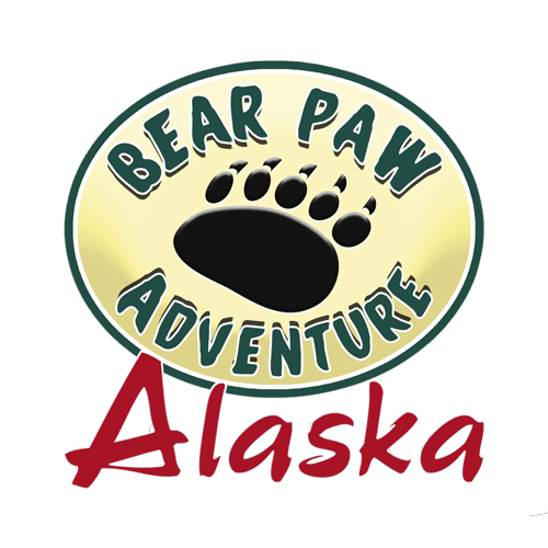 Bear Paw Adventure blog