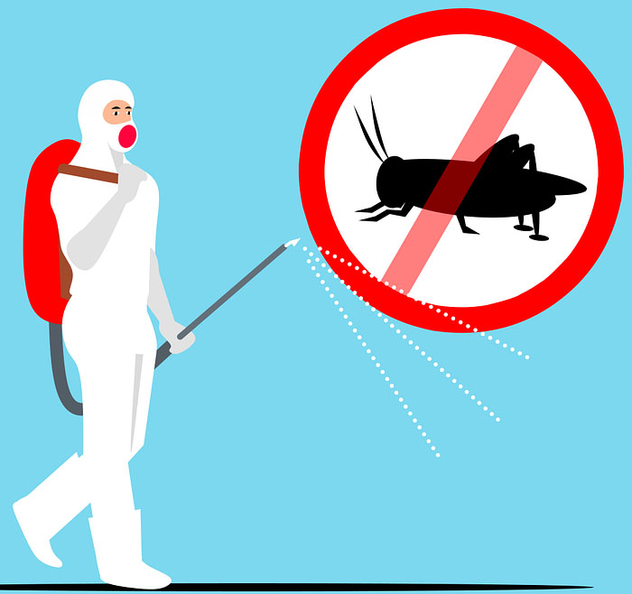 13 Best Ways To Disinfect, Clean Poultry Houses.