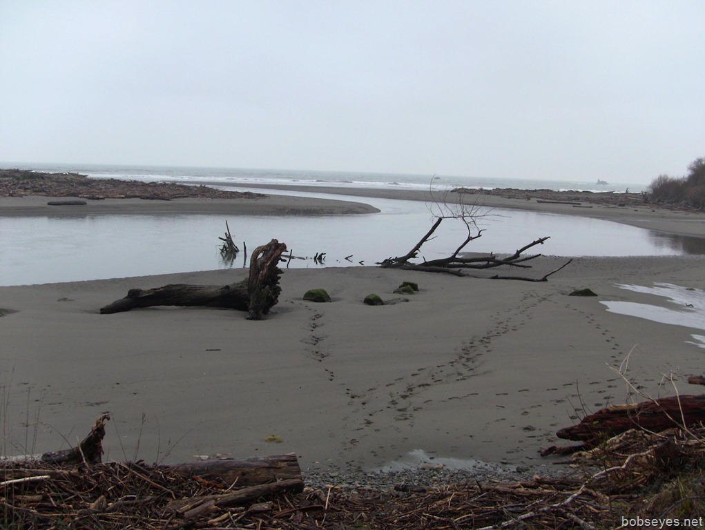 An All Day Drive to the Winchuck River in Oregon Bob's Eyes
