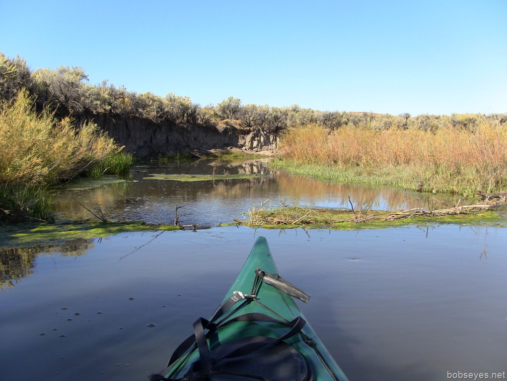 Resting Up and Doing Repairs at Willow Creek Reservoir Bob's Eyes