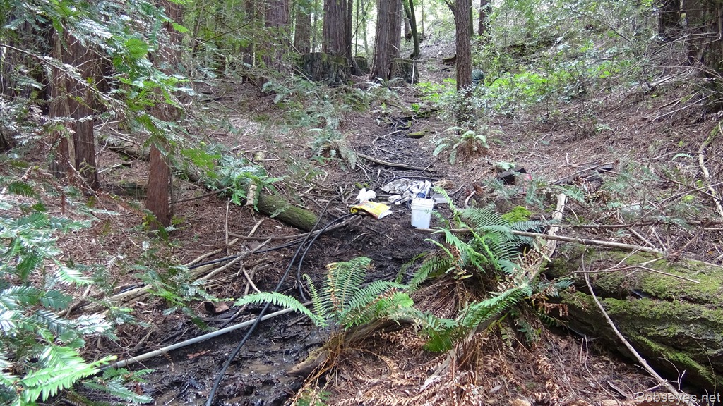 I’ll Show You How to Install a Sanitary Spring Tap for Very Little Cost