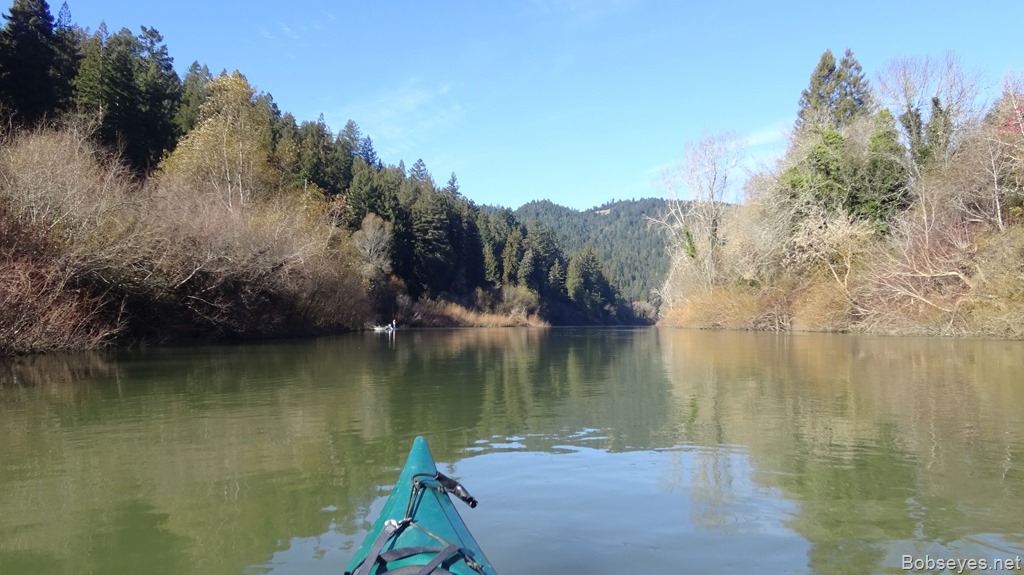 Paddling Monte Rio Down to Casini’s and Back with lots of River Otters