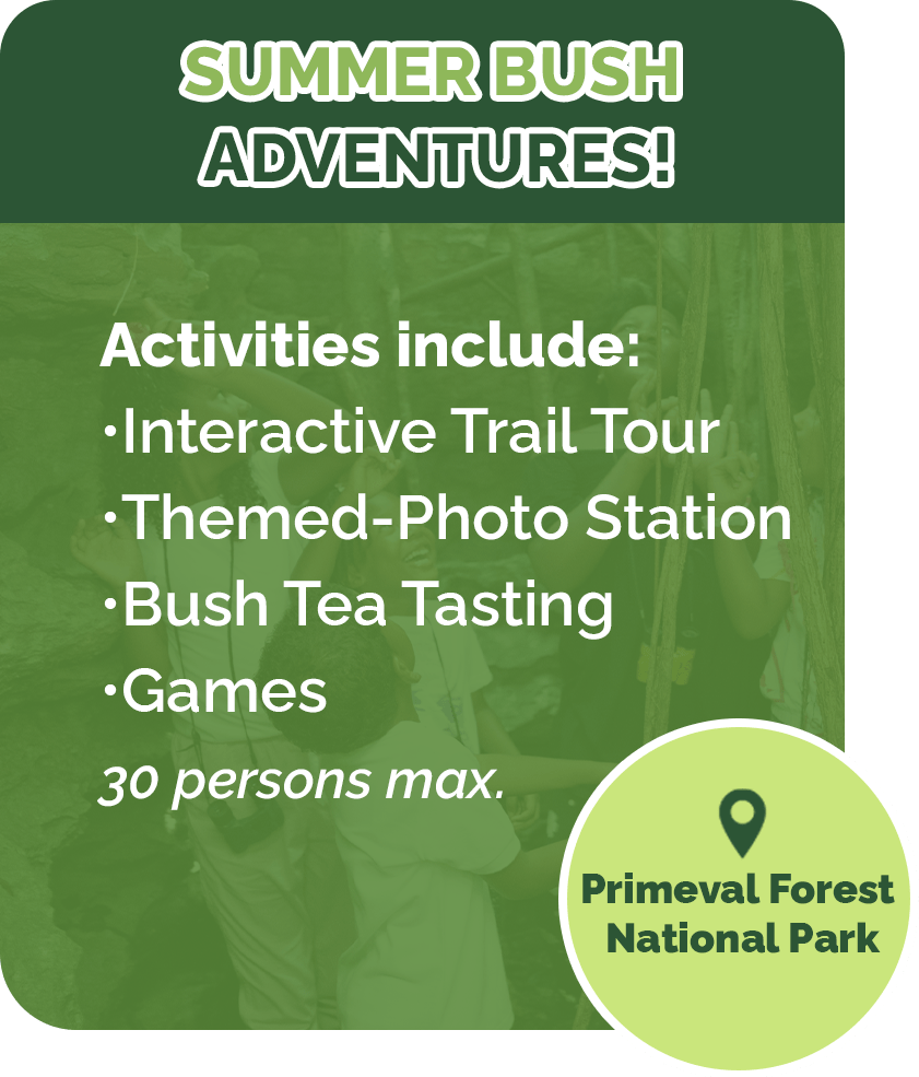 BNT Summer Park Adventure Experience Bahamas National Trust
