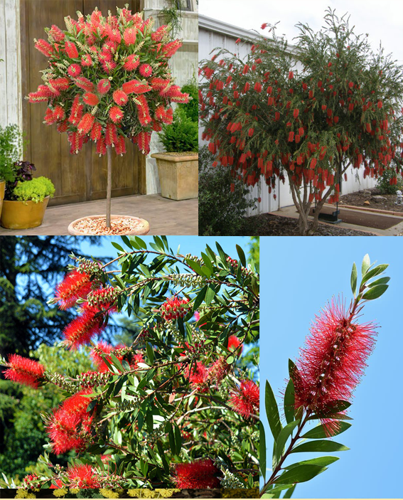 January, 2022 | Farmerama En