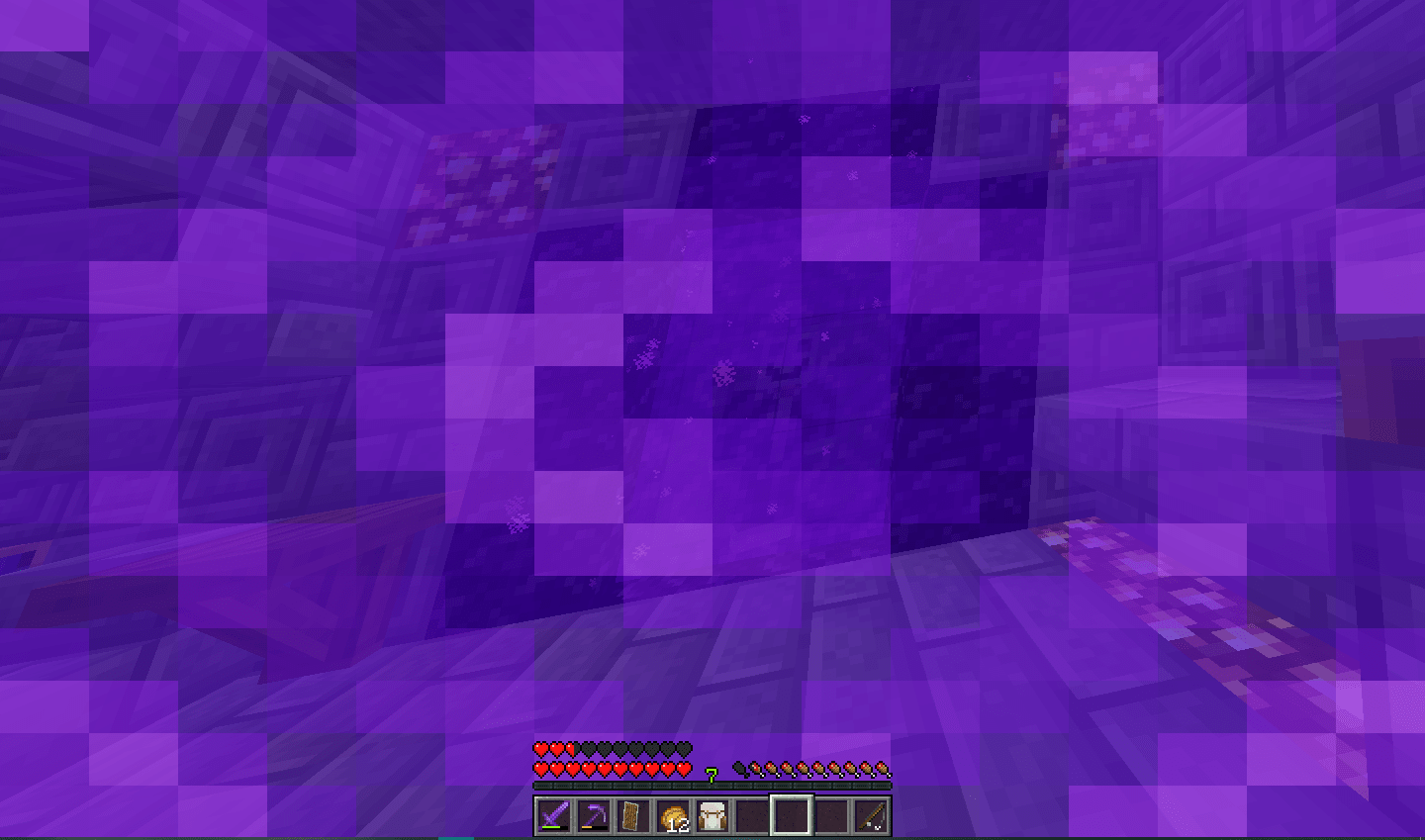 Nether portal wont teleport me to the nether... Server Aternos