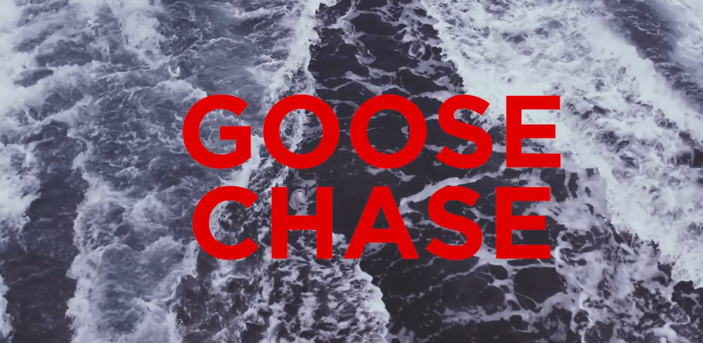 GOOSE CHASE BOARD ACTION