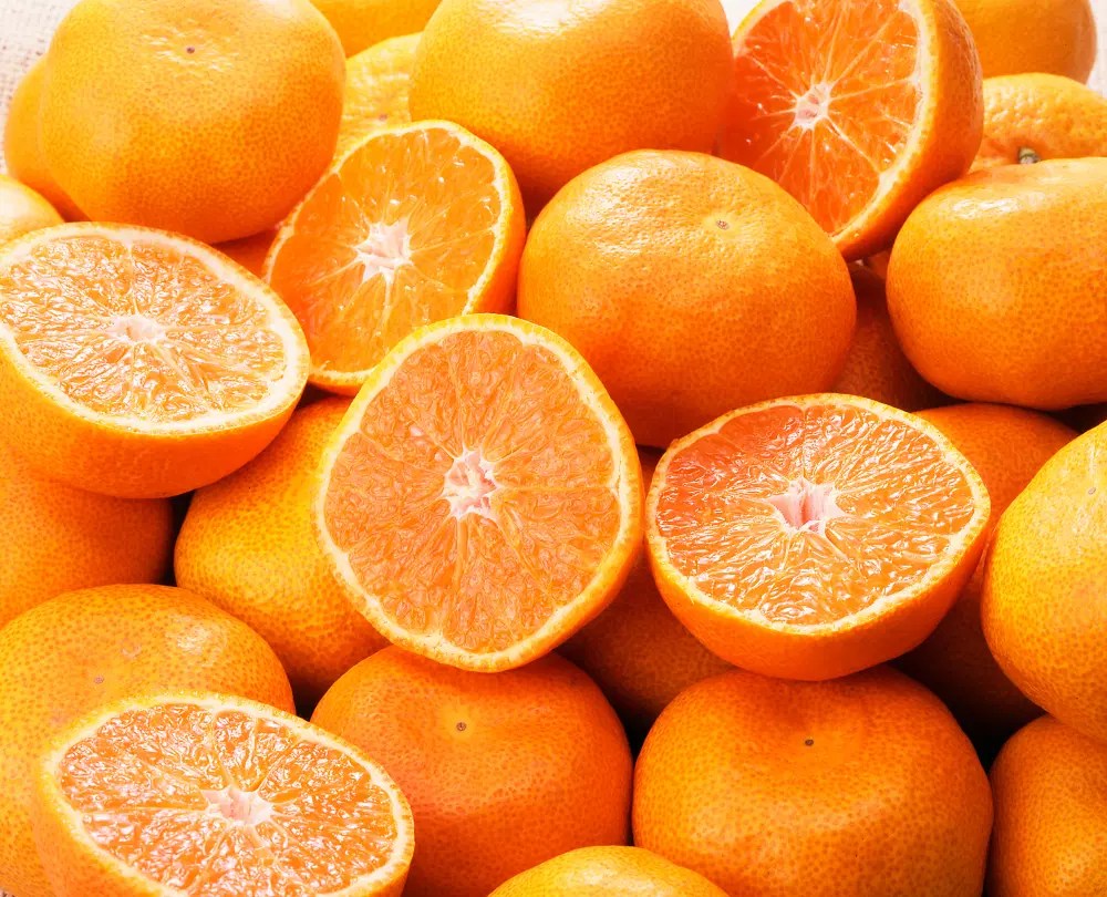 What Kind Of Oranges Are Best For Juicing? • BoatBasinCafe