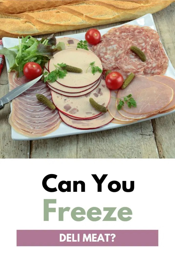 Can You Freeze Deli Meat? How To Extend Its Life • BoatBasinCafe
