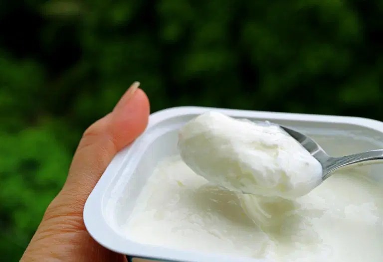 How Long Does Yogurt Last Unrefrigerated Ultimate Guide To Keep Your