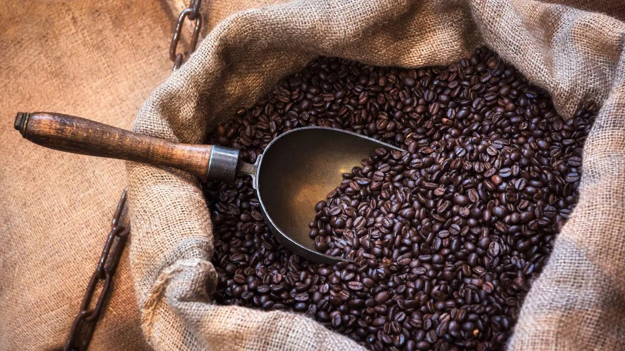 How Long To Store Coffee Beans Everything You Need To Know