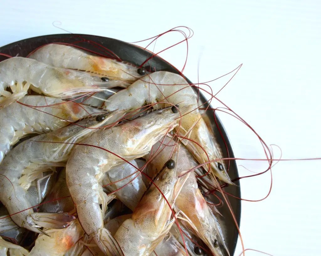 How To Tell If Shrimp Is Cooked A Foolproof Guide • BoatBasinCafe