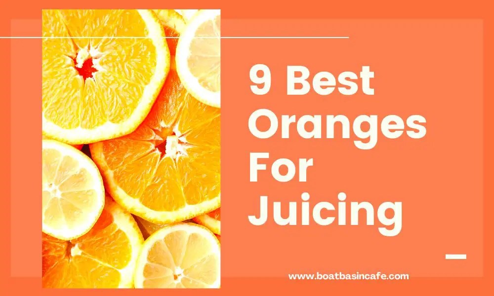 Best Oranges For Juicing Health Benefits & Taste Guide Boat Basin Cafe