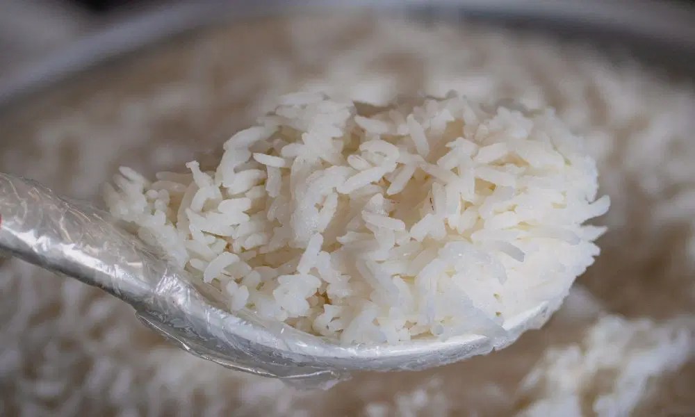 The Grain Guardian How To Keep Cooked Rice Fresh Like A Pro