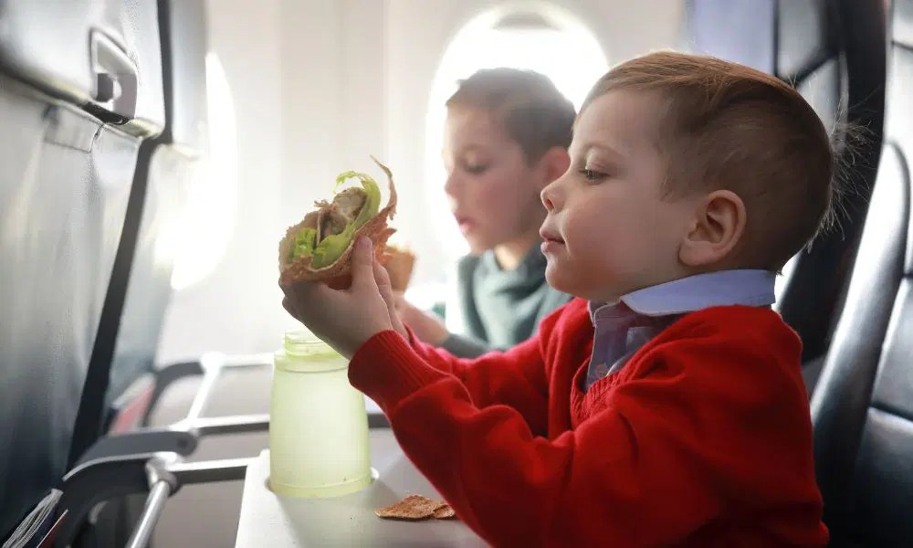 Can I Take Sandwiches On A Plane? TSA Regulations And Tips • BoatBasinCafe