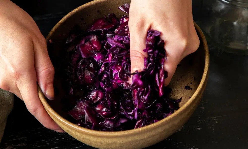Can You Make Sauerkraut With Red Cabbage? • BoatBasinCafe