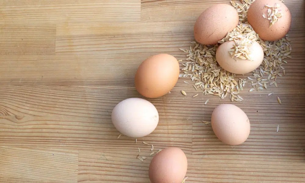 Unlocking The Shelf Life Secrets How Long Do Organic Eggs Last In The Fridge? • BoatBasinCafe