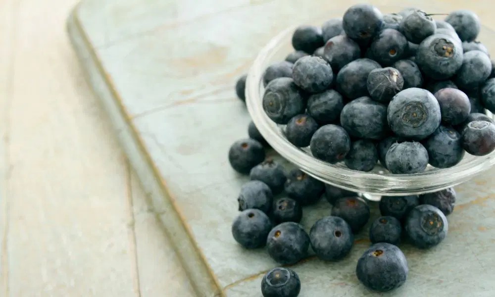 How To Keep Blueberries Fresh For Longer Expert Tips And Tricks