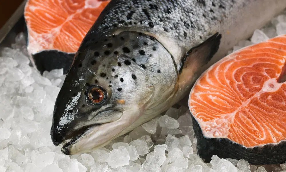 How Long Is Fresh Salmon Good For In The Fridge? Find Out The Ideal