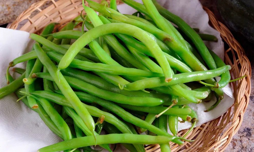 How To Store Green Beans In The Refrigerator Keep Your Beans Fresh And
