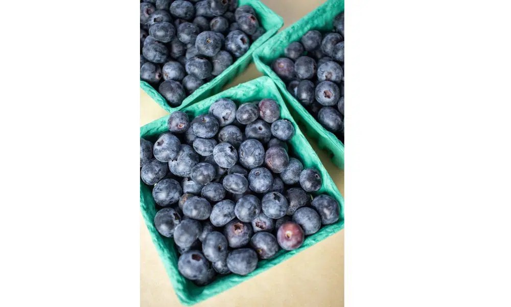 How To Keep Blueberries Fresh For Longer Expert Tips And Tricks