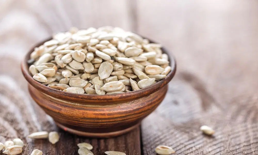 How Long Do Sunflower Seeds Last After Expiration Date? Find Out Now