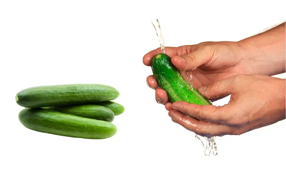 How To Store Cucumbers In The Fridge For Lasting Freshness & Crispness