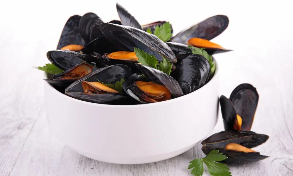 The Ultimate Guide To Storing Mussels How Long Can You Keep Mussels In