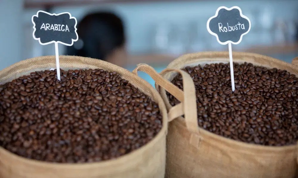 Arabica Coffee Decoded Your Guide To Types, Origins, And Flavors