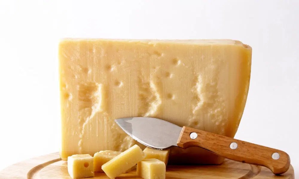 Explore Pecorino Cheese Substitutes Culinary Guide By John Bird