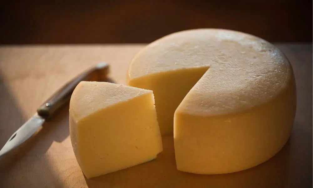 Explore Pecorino Cheese Substitutes Culinary Guide By John Bird