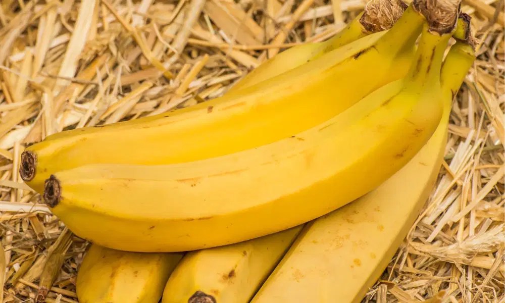 Nlock The Health & Environmental Benefits Of Organic Bananas Boat